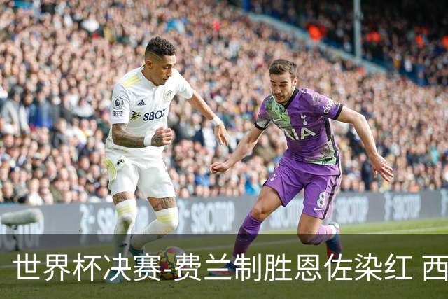 世界杯决赛-费兰制胜恩佐染红 西班牙加时1-0阿根廷夺冠