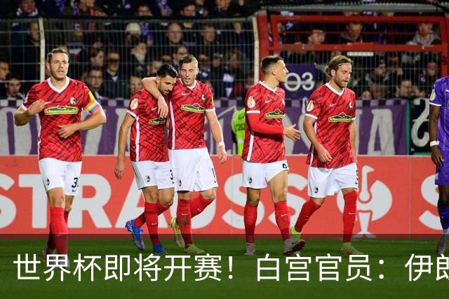 世界杯即将开赛！白宫官员：伊朗队的美国签证已获批