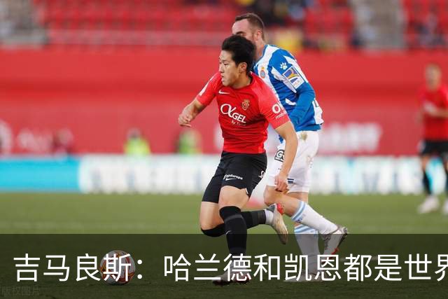 吉马良斯：哈兰德和凯恩都是世界最佳前锋，战挪威时要盯紧前者