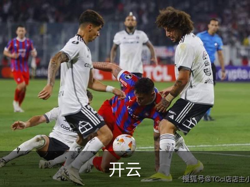 开云简介