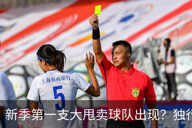 新季第一支大甩卖球队出现？独行侠换代克莱欧文都得走