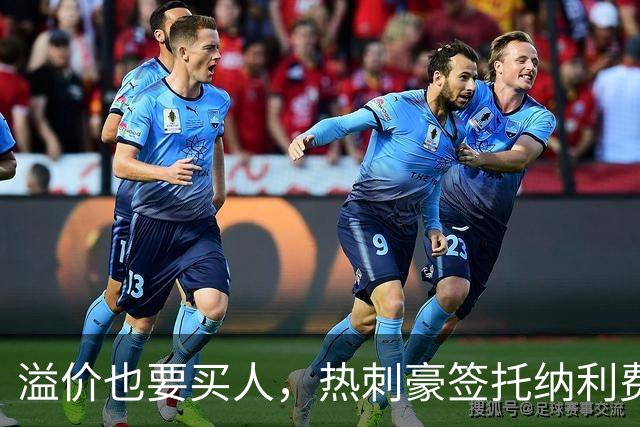 溢价也要买人，热刺豪签托纳利费尔南德斯，凯恩回归迎来关键契机